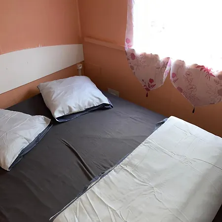 Le Familly Team 营地 *