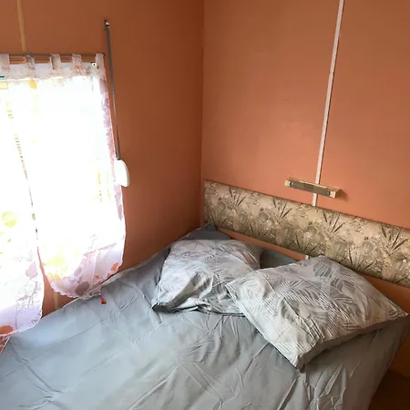 Le Familly Team 营地 *