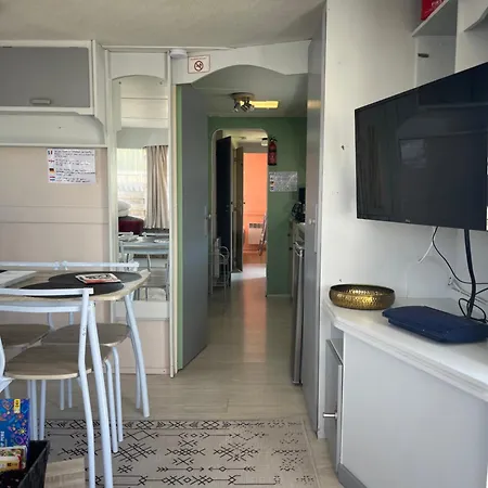 营地 Le Familly Team *